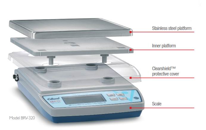 Bravo scales features